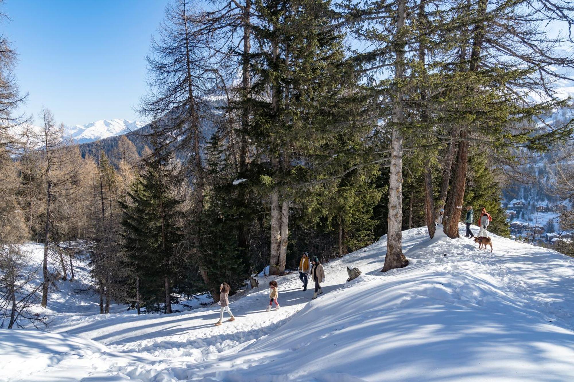 Hotel Club Mmv Le Panorama *** Les Deux Alpes Zewnętrze zdjęcie